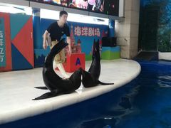 -成都浩海立方海洋公园