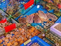 -七鲜渔港美食餐厅(巽寮湾海景店)