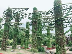 -武清南湖绿博园