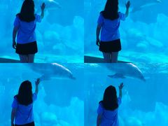 -福州罗源湾海洋世界旅游区