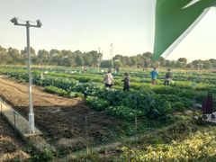 -上膳源有机农场