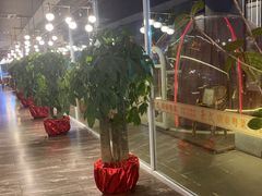 -景式·廣東粤菜(凤凰古站店)
