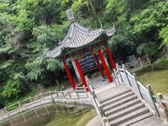 -王顺山国家森林公园