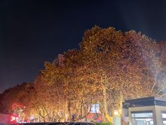 -南京钟山宾馆(江苏省会议中心)