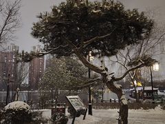 -迎泽公园