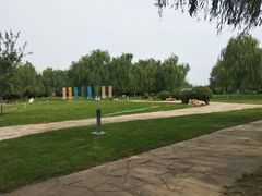 -莫子山公园