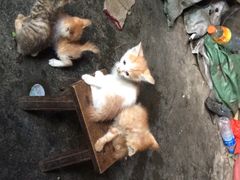 iphone_upload_pic-肇兴侗寨