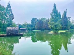 -桤木河湿地公园