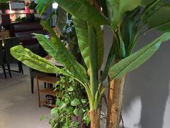 -爆棚肥牛火锅(原福成肥牛城味之缘三里河店)