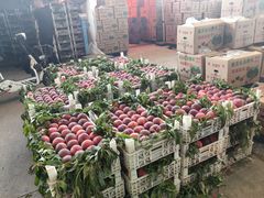 -东方鼎信农副产品交易中心