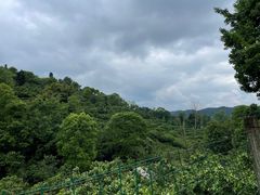 -樱桃山旅游景区