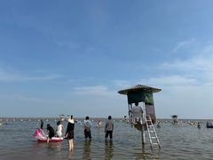 -碧海金沙