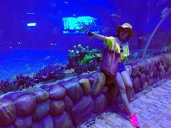 -华夏文旅海洋公园