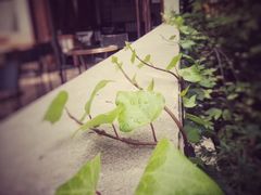 -渔芙南(三里屯店)