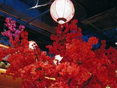 -探花·意境江南菜·唐伯虎文化体验店·松鼠桂鱼(观前店)