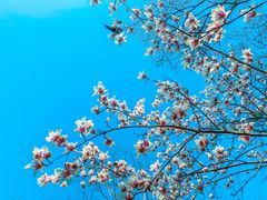 -南京市江宁方山