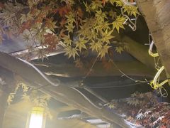 -城墙拐拐火锅(三峡广场黑金冠店)