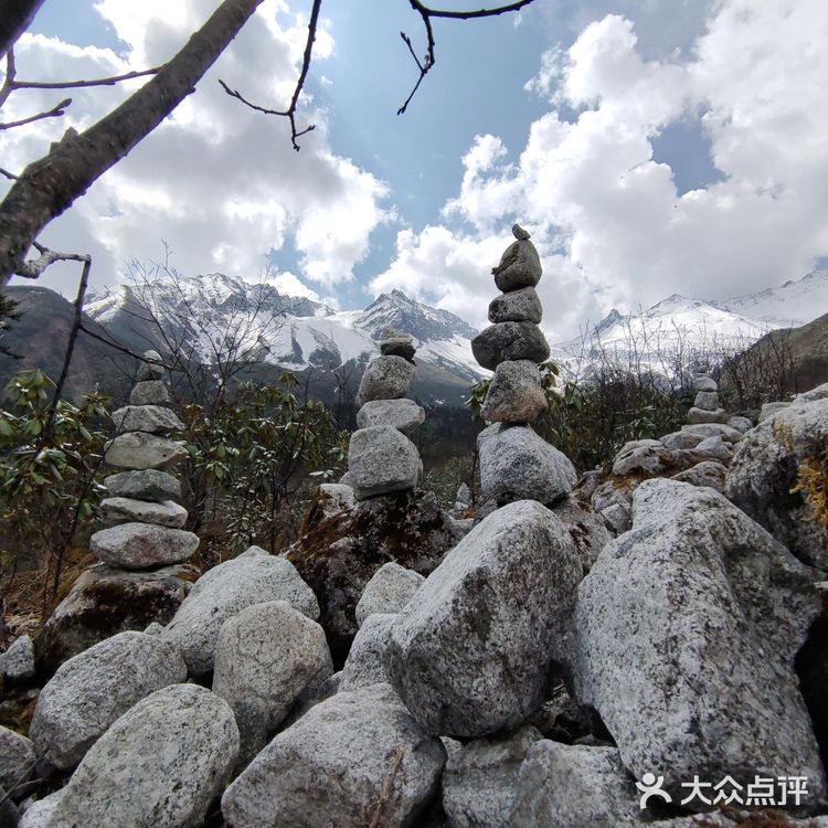入园坐大巴车上山就用了一个小时