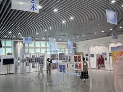 -中国宋庆龄青少年科技文化交流中心