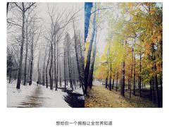 -白水寺森林公园