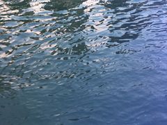 -海河游船-永乐码头(大悲院)