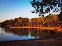 -上海海湾国家森林公园