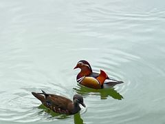 -朝阳公园