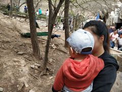 -燕塞湖鸟语林景区