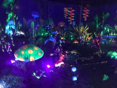 -华南国家植物园-售票处