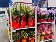 -山姆会员商店(亦庄创意生活广场店)