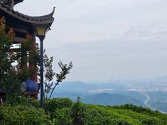 -黄埔油麻山森林公园