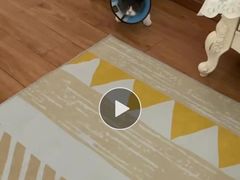 -米苏动物医院·犬猫专科·骨科外科内窥镜