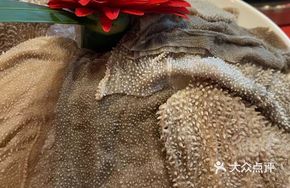 Tan's Tripe