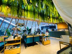大堂-三个椰子·现砍椰子鸡(金源CBD店)
