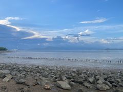 -深圳湾公园(南山区)