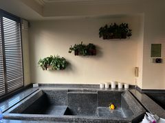 -春晖园度假酒店温泉