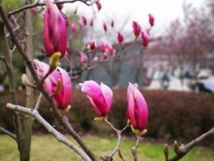 -白塘生态植物园