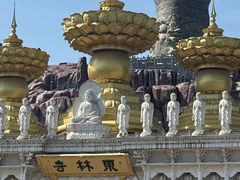 -上海东林寺(金山区)