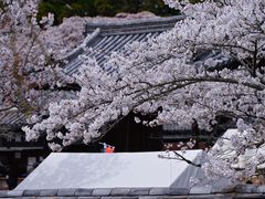 -醍醐寺