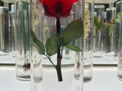 -北京中医药大学-中医药博物馆