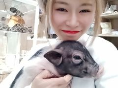-藦茜花园宠物主题亲子互动体验馆(国顺东路店)