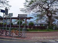 -鲤鱼门海鲜街