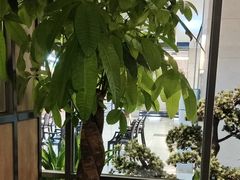 -荷花亭·湖北融合菜(十堰武商MALL店)