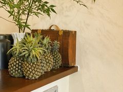 -椰椰大吉(海城店)