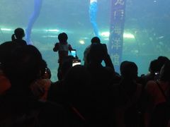 -洛阳龙门海洋馆