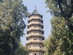 -灵谷景区