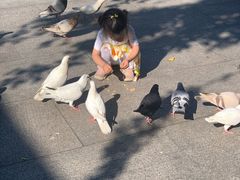 -博鳌禅寺