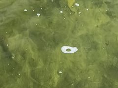 -光头佬钓虾场·烧烤·聚餐·亲子(金沙洲店)