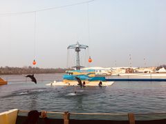 -秦皇岛乐岛海洋王国