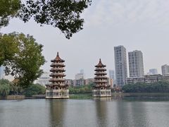 -宝岛公园